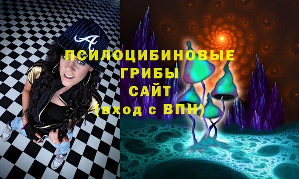 дурь Пестово