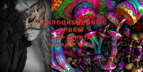 дурь Пестово