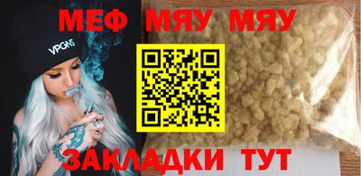 индика Гатчина