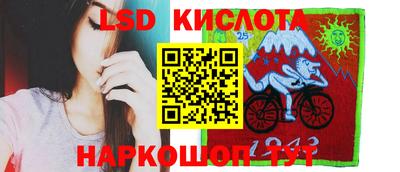 индика Гатчина