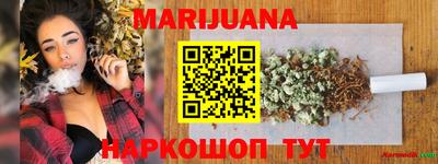 индика Гатчина