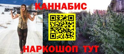 индика Гатчина