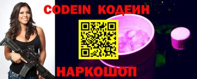 индика Гатчина