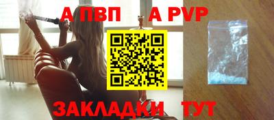 индика Гатчина