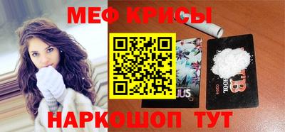 индика Гатчина