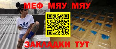 индика Гатчина