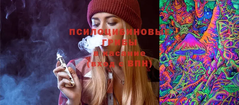 даркнет сайт  Азнакаево  Псилоцибиновые грибы Psilocybe 