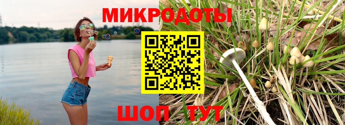 Псилоцибиновые грибы мухоморы Азнакаево